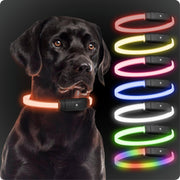 PAJ GPS collier LED face avant montrant la bande lumineuse pour meilleure visibilité