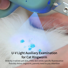 PAKEWAY LED éclairant griffe pour éviter le nerf vasculaire