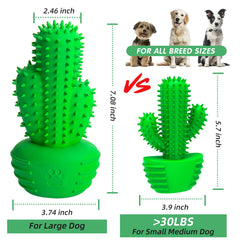Pamlulu zoom sur soies nettoyantes qui frottent plaque et stimulent gencives
