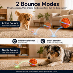 PANRIO lumières RGB actives attirant l'attention du chien pour jouer