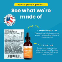 Dose de Paramount Glucosamine mélangée à pâtée de chat montrant administration discrète bénéfice acceptation