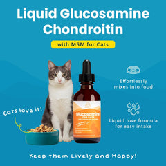 Détail de l'étiquette Paramount Pet Health montrant ingrédients et instructions bénéfice transparence