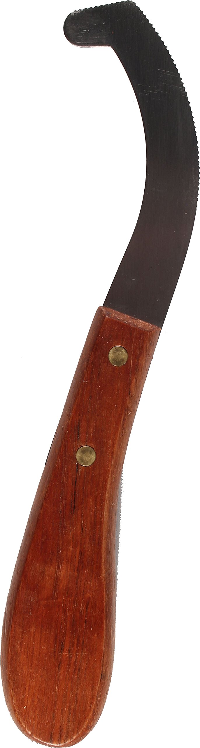 Partrade grattoir vue de face manche en bois pour retrait précis des œufs
