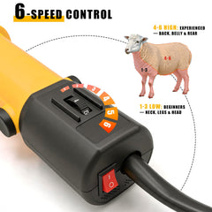PAT JUUMG filtre anti-poussière amovible pour protection moteur et entretien facile