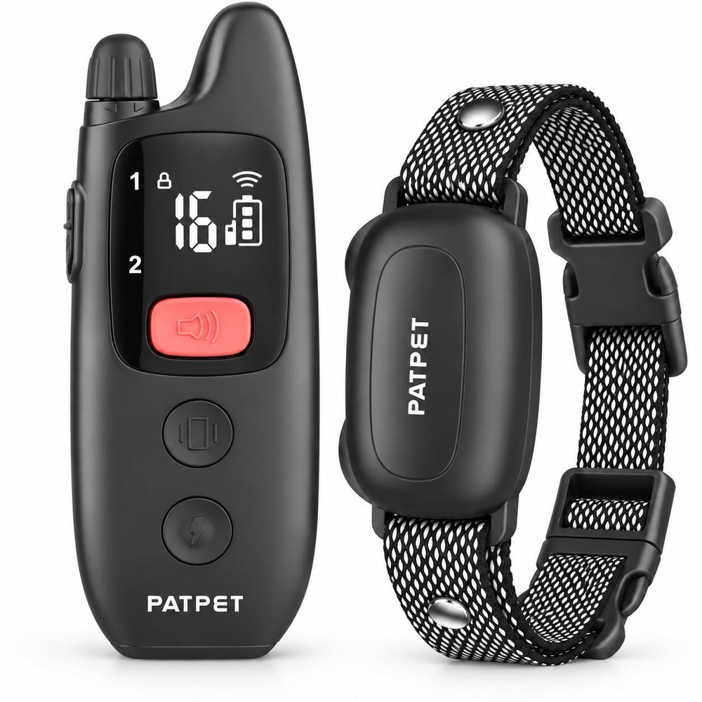 PATPET collier face avant montrant le boîtier récepteur, durabilité et fonctionnalité