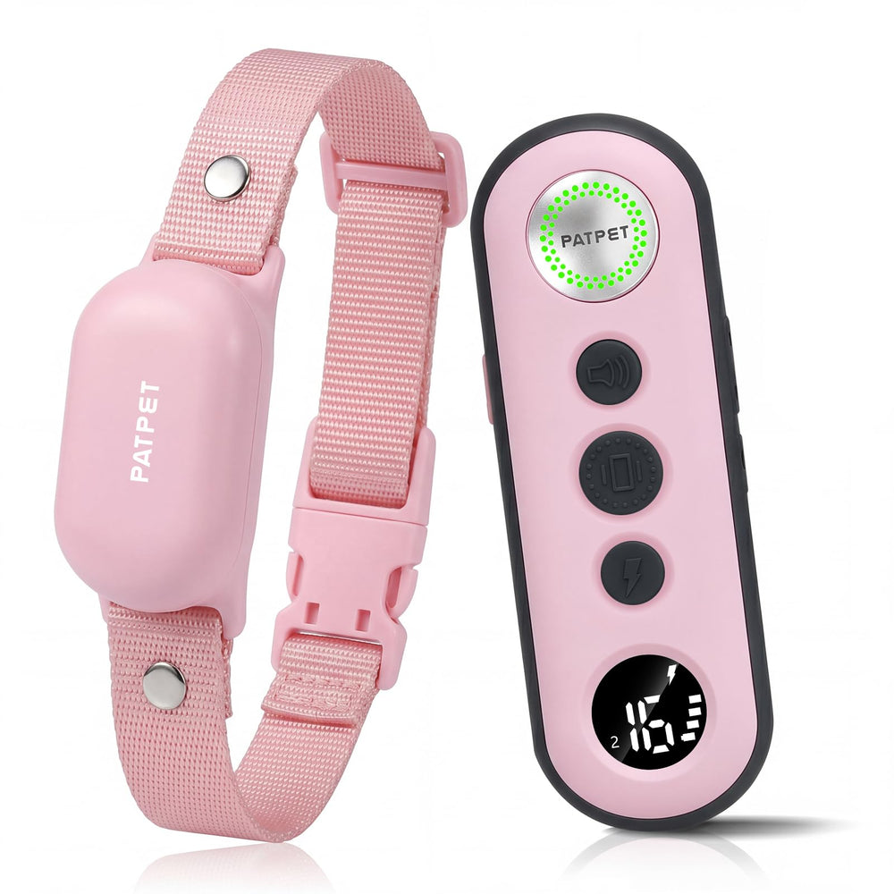 PATPET collier face avant montrant commandes et LED, facilité d'utilisation
