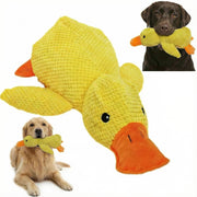 Paw-FECT Piece canard face avant montrant forme attrayante et sécurité