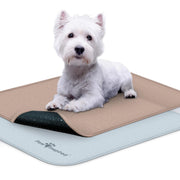 Paw Inspired vue avant de la housse montrant ajustement et protection