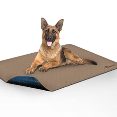 Paw Inspired face avant du tapis absorbant montrant protection complète