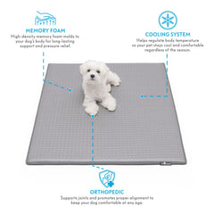 Paw Inspired gros plan mousse à mémoire montrant soutien durable