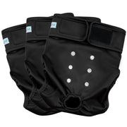 Paw Legend culotte face avant montrant maintien confortable et couverture