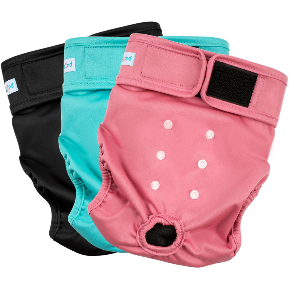 Paw Legend face avant du lot de trois montrant le design pratique