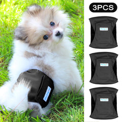 Paw Legend fermeture velcro réglable pour maintien sécurisé