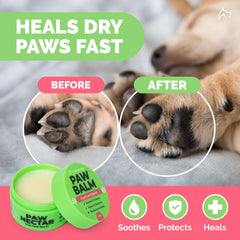 Paw Nectar application sur coussinet avec massage, apaisement immédiat illustré