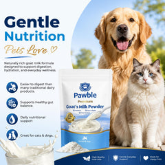 Pawble lait préparé dans un verre pour hydratation et appétence