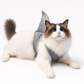 Pawcratean sweat devant avec design requin, look drôle et sécurisé