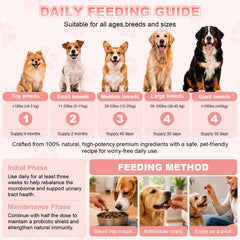 PAWDEFENDER bandelettes test urinaires et boîte pour suivi rapide