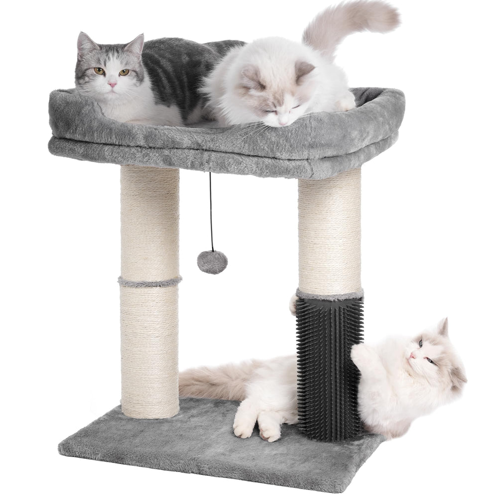pawfessor arbre à chat, vue frontale montrant la plate-forme et le couchage confortable