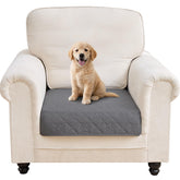 PAWFINITY face avant montrant protection et finition douce