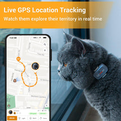 Gros plan sur le collier Pawfit inclus montrant la fermeture de sécurité pratique