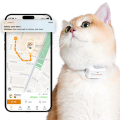 Pawfit Lite montrant la face avant du traceur pour identification et port confortable
