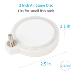 Pawfly gros plan sur la texture poreuse montrant diffusion homogène de bulles