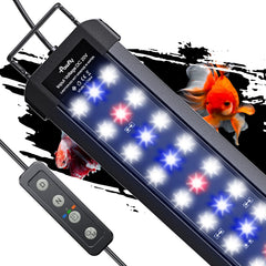Pawfly rampe LED vue face montrant design compact et stabilité