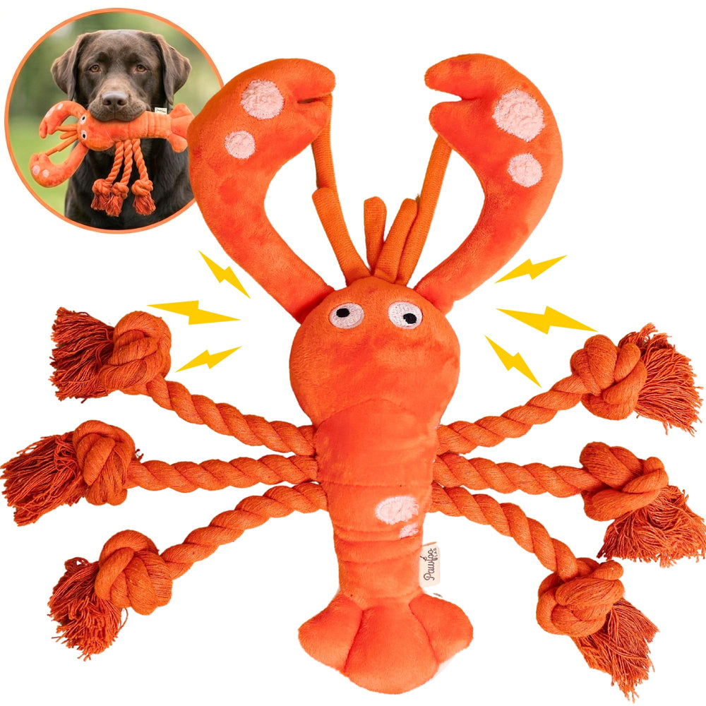 Pawfoo Lab homard face avant montrant forme ludique et attractivité