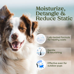 PAWFUME gros plan buse fine pour brume uniforme et application précise