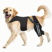 Pawfun attelle genou devant packaging montrant maintien et stabilité