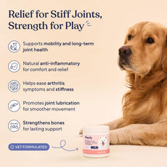 Pawfy friandise gros plan illustrant la forme et appétence