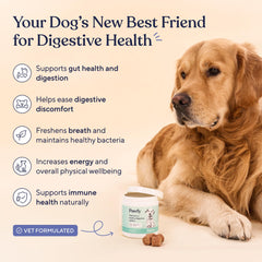 Pawfy friandise gros plan texturée indiquant appétence et qualité