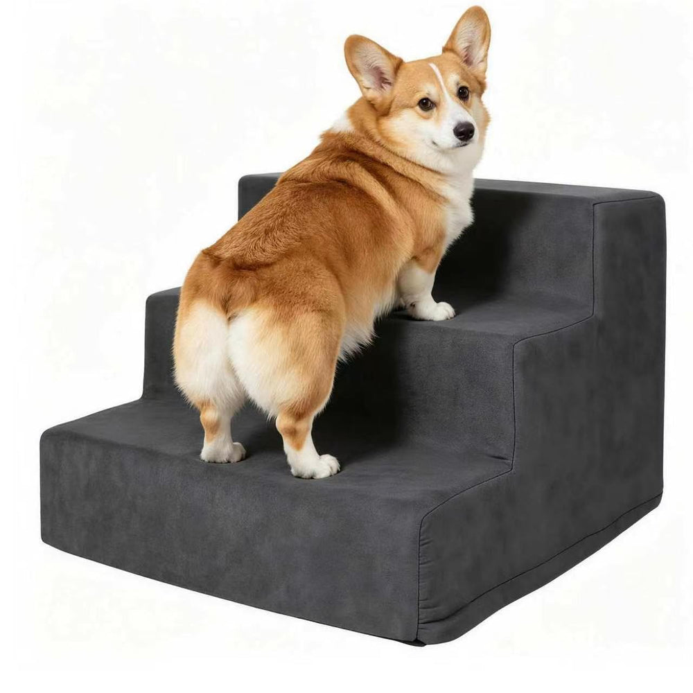 PAWISE marches 3 marches vue de face montrant stabilité et design élégant
