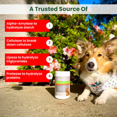 TRUSTWELL PAWMEDICA comparaison de taille du chew à côté d'une patte pour repère visuel