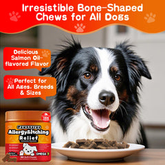 Pawnnergy chien qui mange chew, acceptation par les chiens difficiles