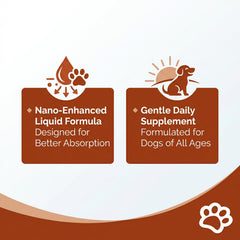 Pawprint Lab Liquid texture en gros plan pour meilleure absorption