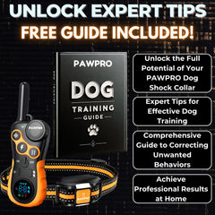 PAWPRO collier en action chien rappel à distance contrôle sécurisé