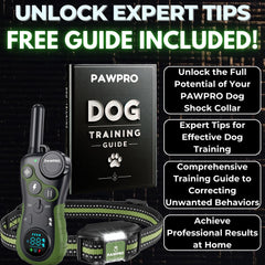 PAWPRO pointes conductrices en gros plan, confort et contact fiable