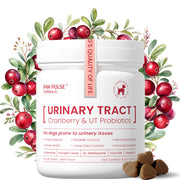 PAWPULSE FORMULA emballage avant montrant complément urinaire pratique