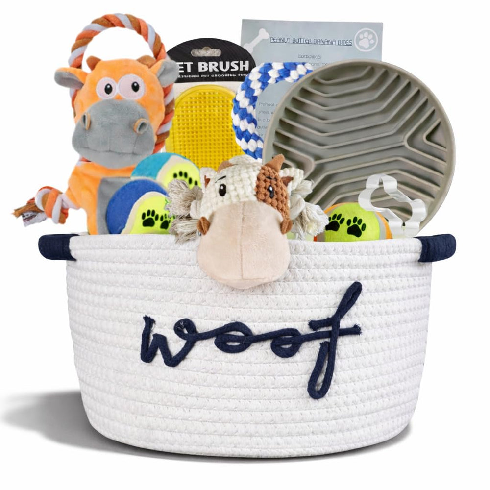 Paws For Reaction vue du coffret prêt à offrir montrant tous les articles inclus