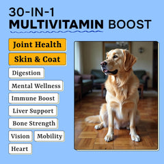Pawsential chien mange la friandise favorisant adhésion quotidienne