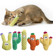 Pawsible pack de cinq cactus colorés montrant design ludique et stimulation visuelle