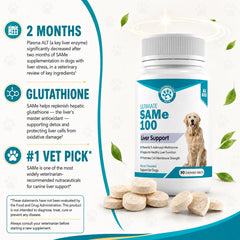 Pawsitive chien prenant la friandise, favorise l’acceptation quotidienne