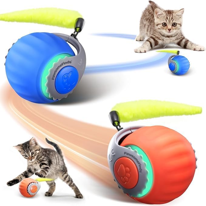PawsomeFinds balle face avant montrant design et mouvement pour jeu actif