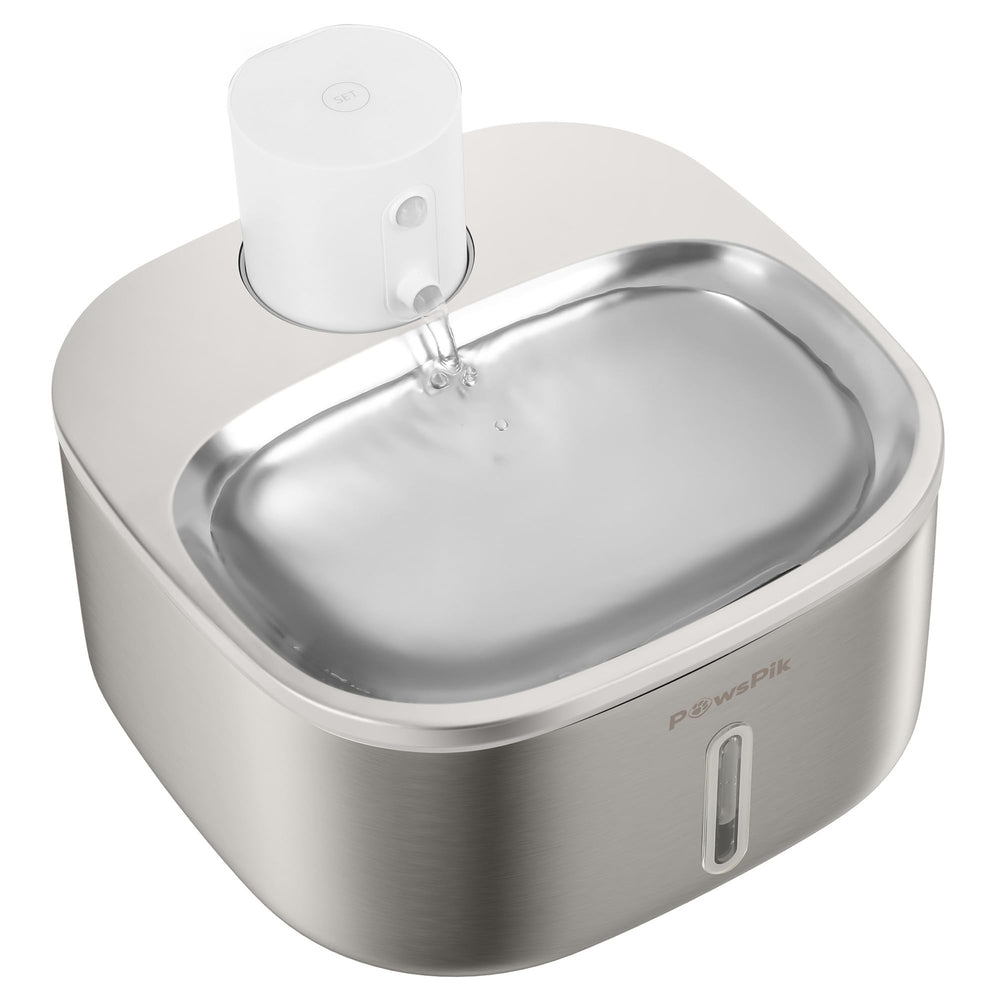 PawsPik BOSS-01 face avant montrant bol en acier et design robuste