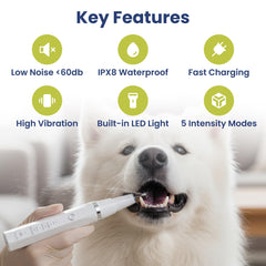 PAWSPIK embouts et accessoires posés, facilités pour soin dentaire complet