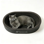 Pawture Life griffoir-lit face visible design ovale et gain de confort