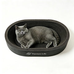 Pawture Life griffoir-lit face visible design ovale et gain de confort