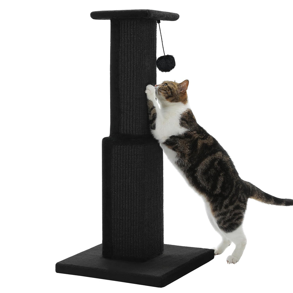 PAWZ Road griffoir devant montrant stabilité et design élégant