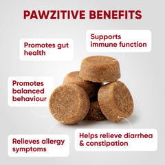 Pawzitive Pets texture détail montrant la mastication facile et meilleure absorption